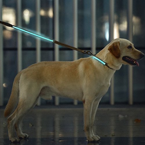 美好寵商 【寵物用品】DOGNESS多尼斯LED彩光系列牽引繩(4色) - 寵物牽繩