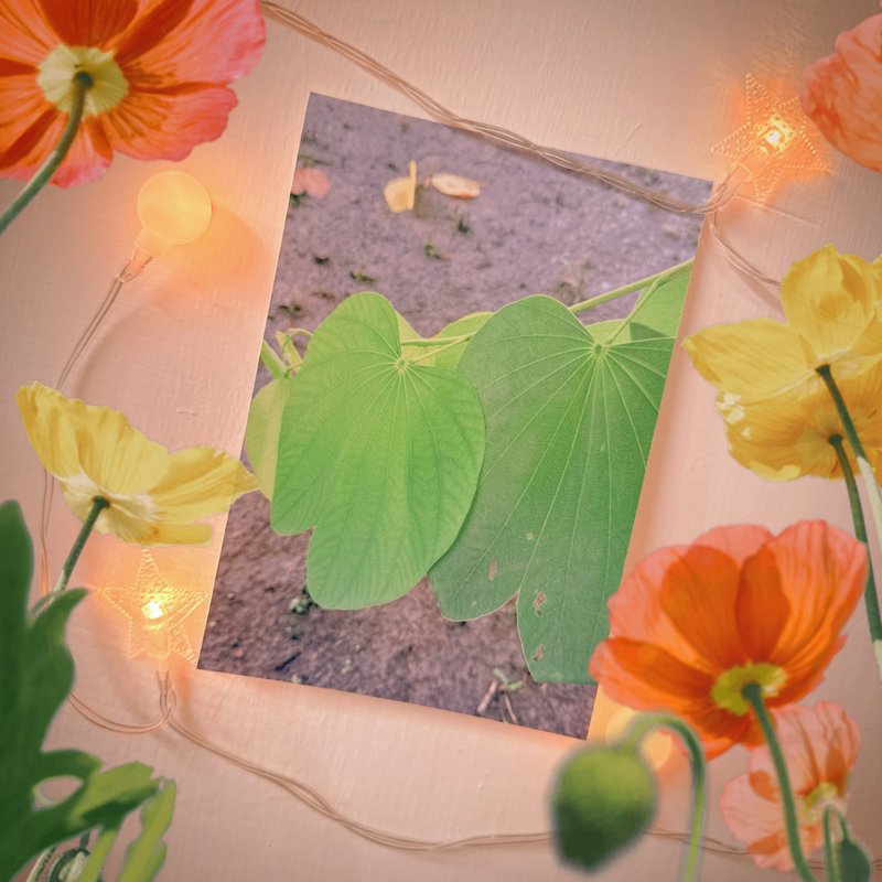 Have a Nice Day Alien Exploring Taiwan Postcard / Cool Card / Bauhinia Leaf - การ์ด/โปสการ์ด - กระดาษ หลากหลายสี
