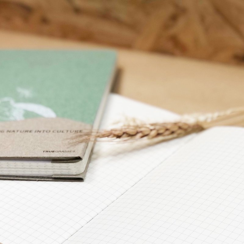 TRUEGRASSES Green Shell Real Rice Notebook 5x7 Grid - สมุดบันทึก/สมุดปฏิทิน - วัสดุอีโค สีเขียว