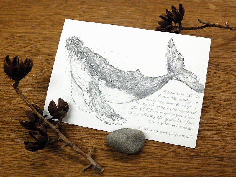 Whale sketching postcard - การ์ด/โปสการ์ด - กระดาษ สีเทา