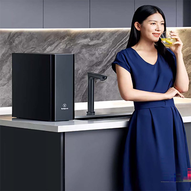 [Free shipping] Household direct drinking all-in-one reverse osmosis kitchen water purifier Westinghouse S600/800 - เครื่องครัว - วัสดุอื่นๆ สีดำ