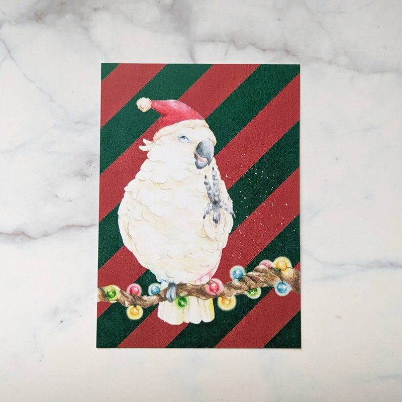 Christmas Badan Parrot Snowflake Postcard - การ์ด/โปสการ์ด - กระดาษ สีแดง