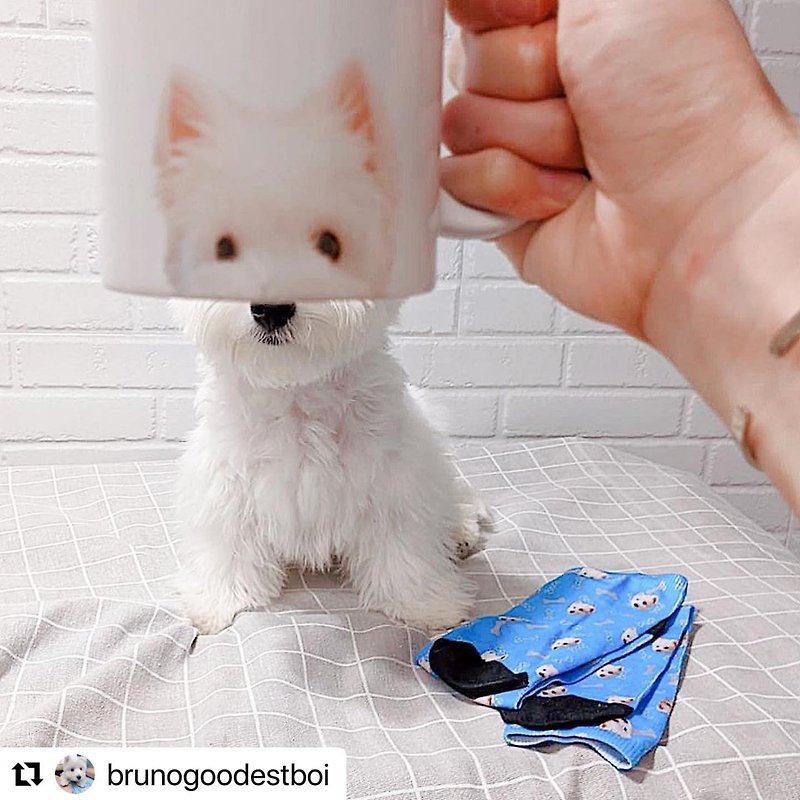 Personalize Mug with Life Moto - แก้วมัค/แก้วกาแฟ - ดินเผา ขาว