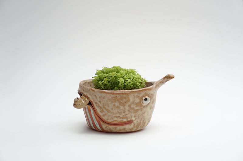 Whale pot , Whale plant pot , Handmade ceramics , pottery  - 植物/盆栽/盆景 - 陶 卡其色