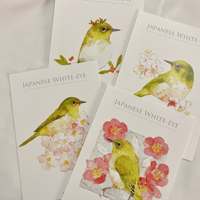 Watercolor Bird Postcard 38 Green Embroidered Eye - Cards & Postcards - Paper 