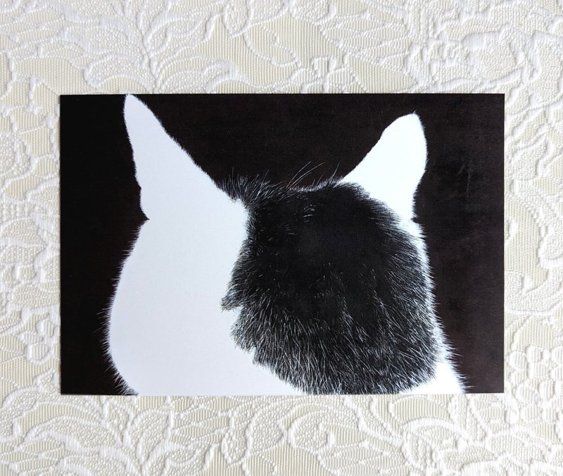 Back of cat's head postcard  set of 5　MOMO - Cards & Postcards - Paper Black