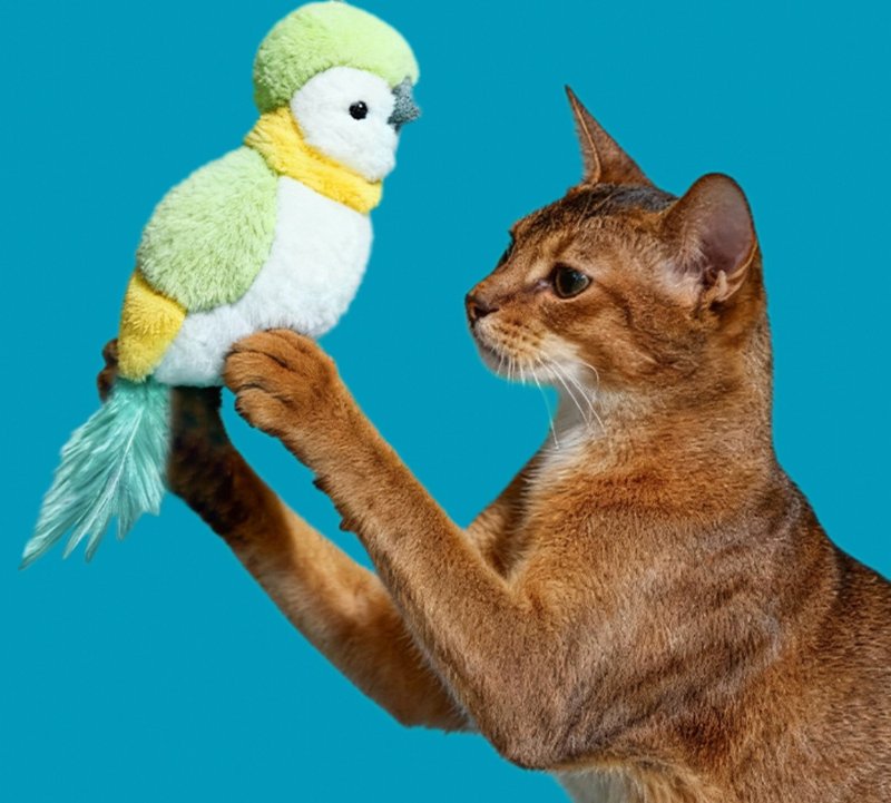 【コザクラインコ】ペット用 音が出るおもちゃ/歯固め・噛みつきに強いおもちゃ - おもちゃ - その他の素材 グリーン