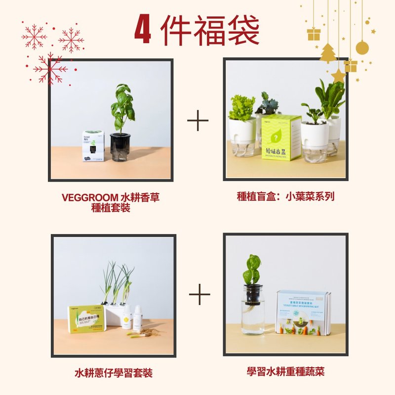 Christmas Sale: 4 件蔬菜種植套裝福袋 - 花藝/盆栽/植栽 - 其他材質 白色