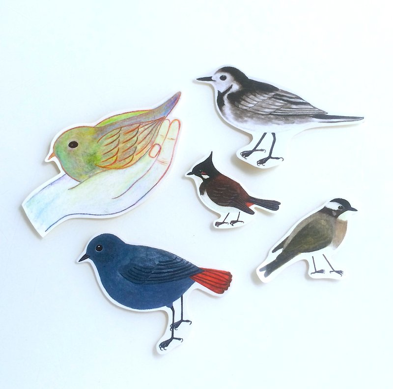 Birds sticker - สติกเกอร์ - กระดาษ 