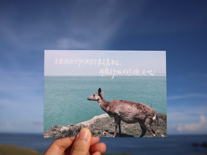 [Handwritten Travel Postcard] Mazu-Daqiu Sika Deer - Cards & Postcards - Paper 