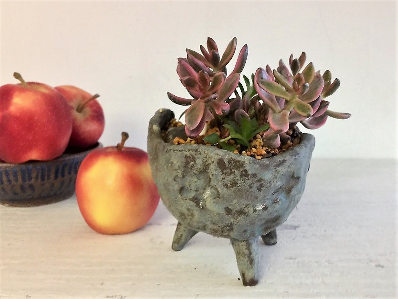 3本足の陶器鉢植えの陶器_陶器の鉢植えの鉢植えの植物 - 観葉植物 - 陶器 ブルー