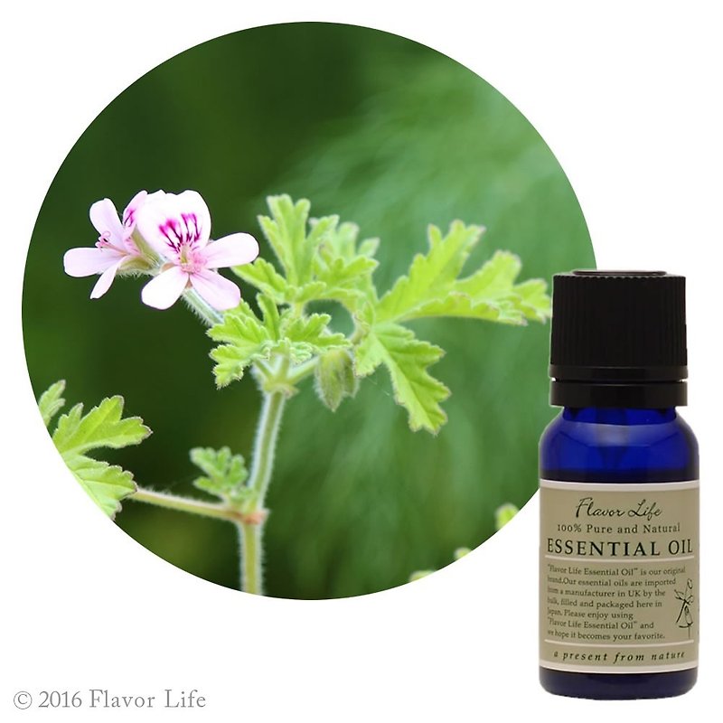 【Rose Geranium Essential Oil】Pelargonium graveolens (Geranium) - น้ำหอม - น้ำมันหอม สีเขียว