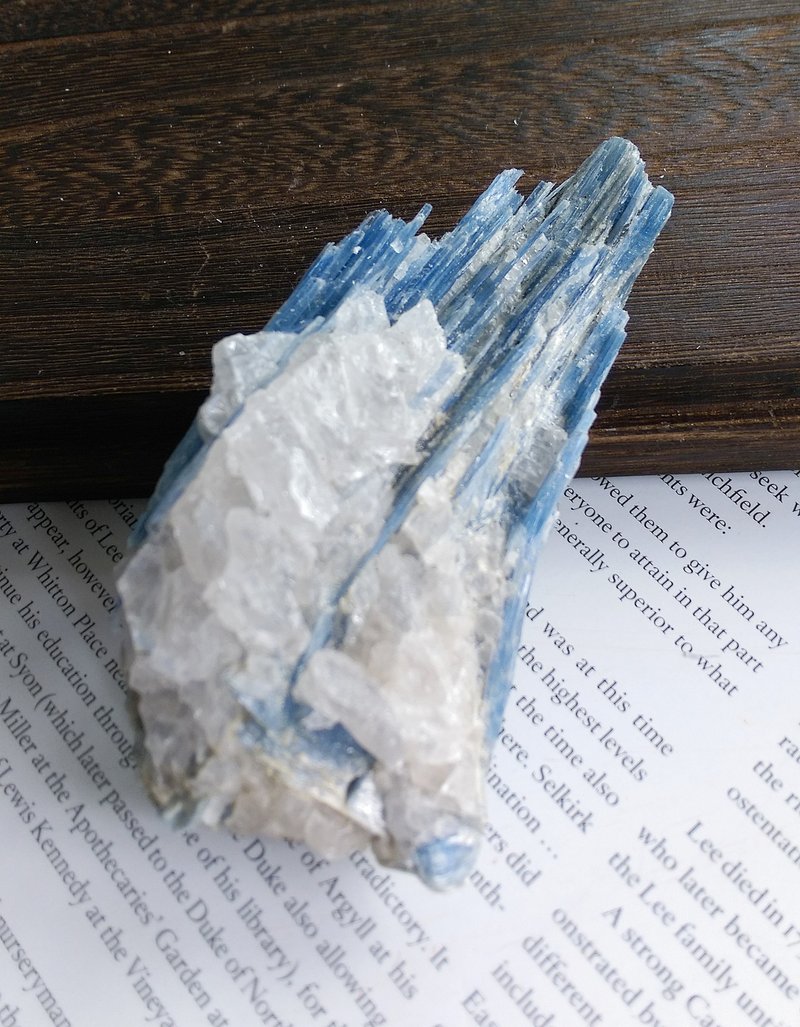 Kyanite 安徽產地 藍晶石 石英共生礦 天然礦石 原礦 - 擺飾/家飾品 - 其他材質 