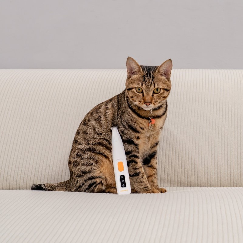 (Cat sole hair) MB-021P Auburn sole hair mini pet electric clipper mini head - Cleaning & Grooming - Other Materials White