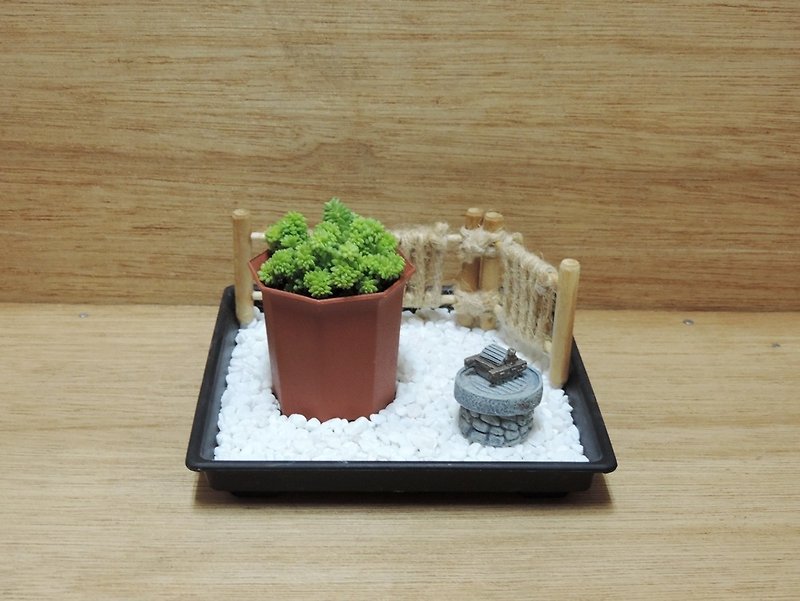 Rifeng sketch appreciation‧Japanese garden‧succulent plants - Plants - Other Materials 