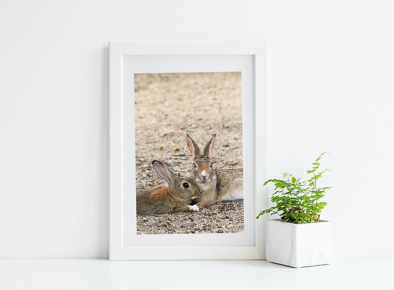 Rabbit Photography Giclee Works-Guardian - Posters - Paper Khaki