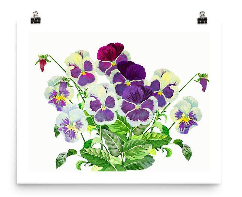 Bouquet with Claret Blue Pansies, Watercolor Flowers for Gift - โปสเตอร์ - กระดาษ สีม่วง