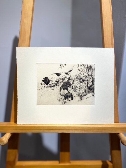 酷鴞藝術 Dead Poets Society 華盛頓DC藝術家Morgan Stinemetz-嗅聞中的梗犬-蝕刻版畫-Etching