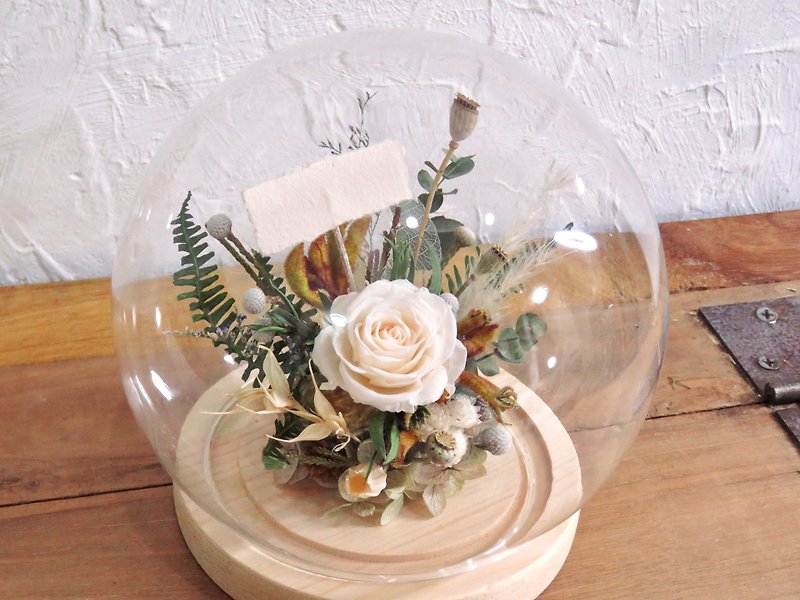 Immortal White Rose Glass Cover - Dried Flowers & Bouquets - Plants & Flowers White