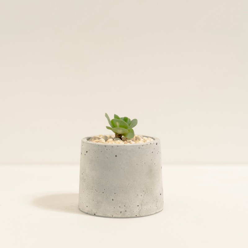 雲葉古木錦 │泥作系列│福所栽 - 盆栽/植栽 - 水泥 綠色