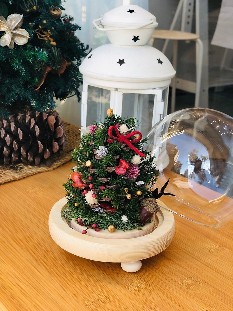 Ochre 松果聖誕樹玻璃燈球 - 乾燥花/永生花 - 植物．花 綠色