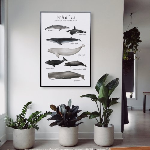 硬石製畫 Ins Design 鯨魚圖鑑 掛畫/臺灣製造/實木裝飾畫/無框畫/入厝禮/交換禮物