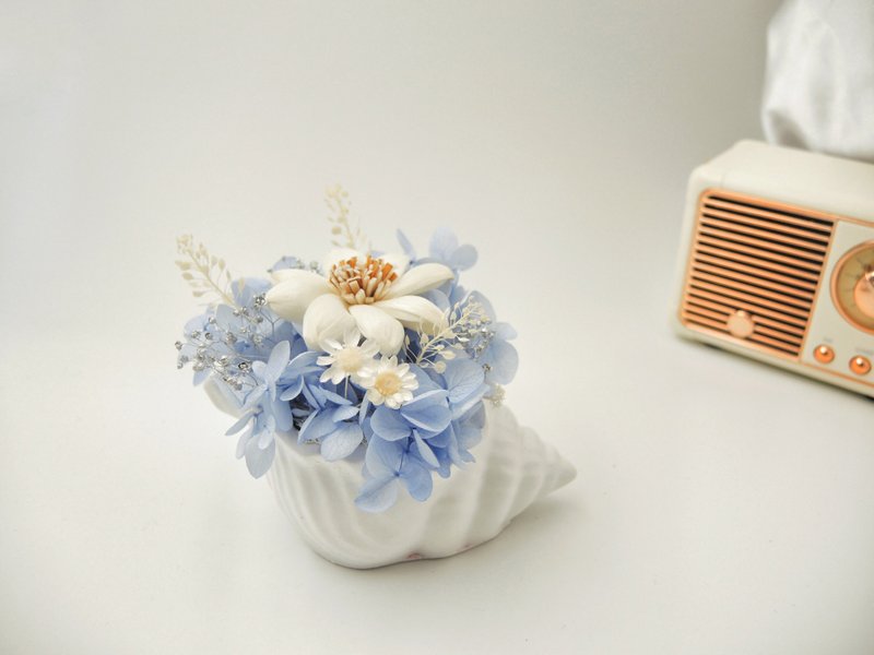 Shell-shaped diffuser potted flower diffuser flower immortal dry flower office souvenir - Dried Flowers & Bouquets - Plants & Flowers Blue