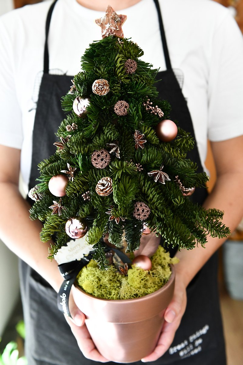 Christmas Tree│ does not with the Christmas tree pot gift - Olive1230 exclusive custom order - Plants - Plants & Flowers 