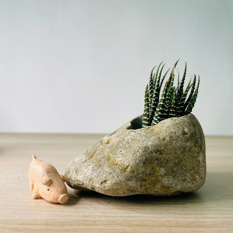 Single Item 39 Selected Stone to Run the Stone Age - Plants - Stone Gray