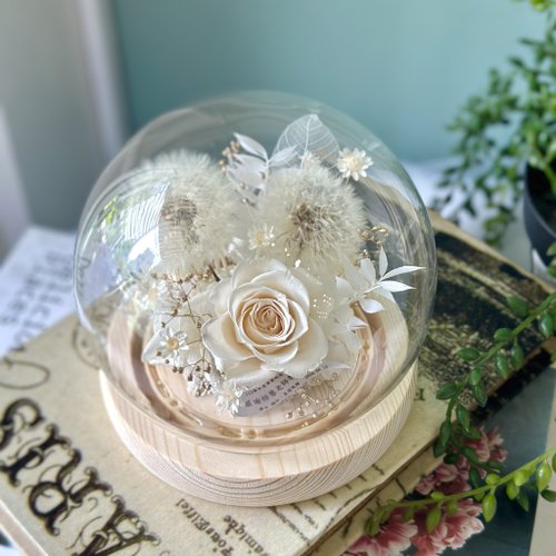EROS 淨 蒲公英玻璃罩 永生花玻璃罩盅 不凋花客製化禮物