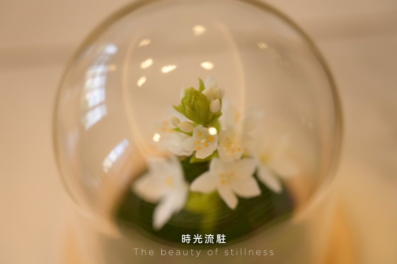 Handmade clay flower art - a unique gift for home decoration in the style of Suzaku glass cover - Items for Display - Clay White