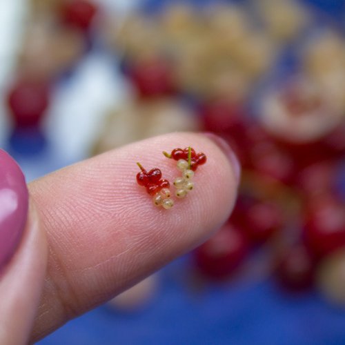 Rina Vellichor Miniatures TUTORIAL Miniature red currants with polymer clay | PDF + video