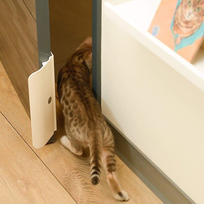 Pet Door Door Semi-Automatic, Easy Entry for Cats and Dogs, Easy Install
