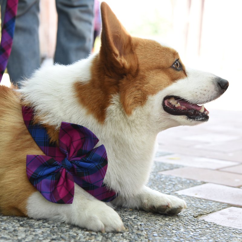 Classic Plaid Boutique bow for Pet Harness【ZAZAZOO】 - Clothing & Accessories - Cotton & Hemp Multicolor