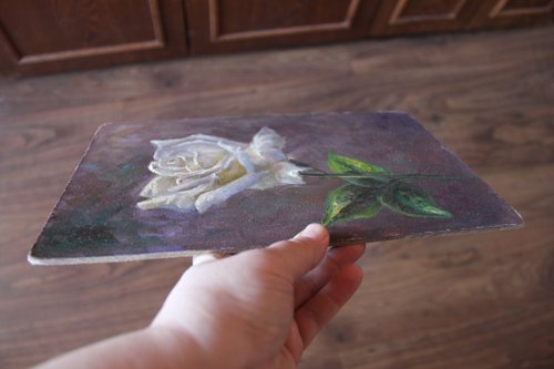 絵画　白薔薇 500x0.jpg