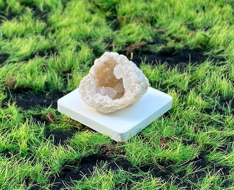 可愛貝殼造型瑪瑙白晶洞 招財 開運 聚財 快速出貨 辦公室 風水 - 擺飾/家飾品 - 水晶 多色