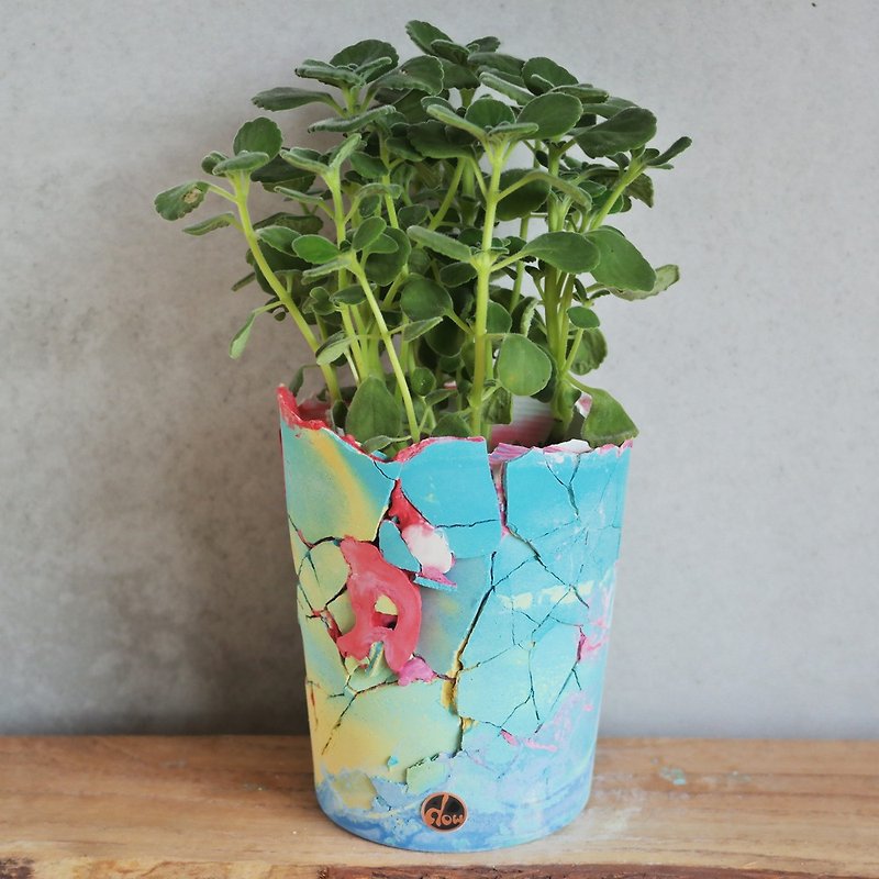 Peas Succulents and Small Groceries - Handmade Devon Shakes Series-12 - Plants - Cement Multicolor