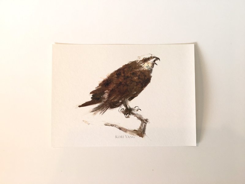 Bird ‧ Postcard ‧0140 Osprey - Cards & Postcards - Paper 