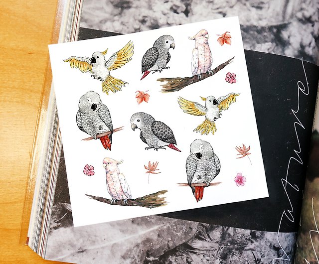 Large African Grey Parrot Temporary Tattoo TO00039264  Amazonca  Beauty  Personal Care