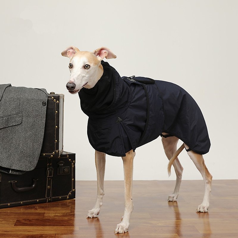 Dog Fashion Fast Wear Trench Coat - Navy Blue Pawsholic Paw Fan - Clothing & Accessories - Other Man-Made Fibers 