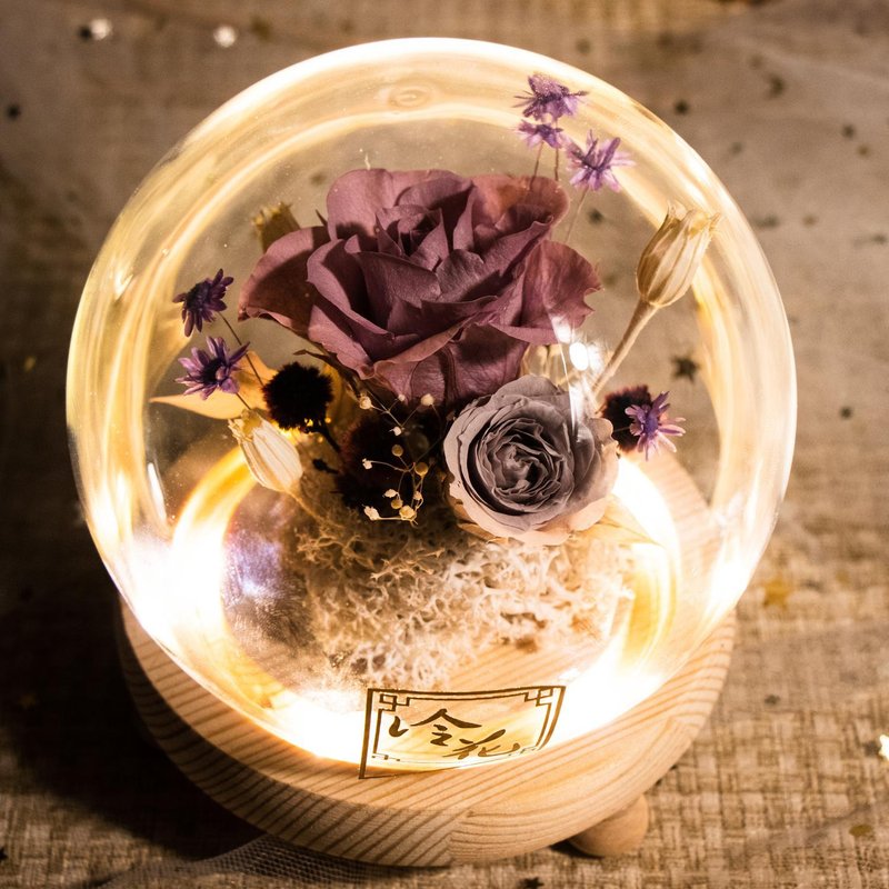 Preserved Flower Small Glass Dome with LED lights (GDP01L) - Purple - Items for Display - Plants & Flowers Purple