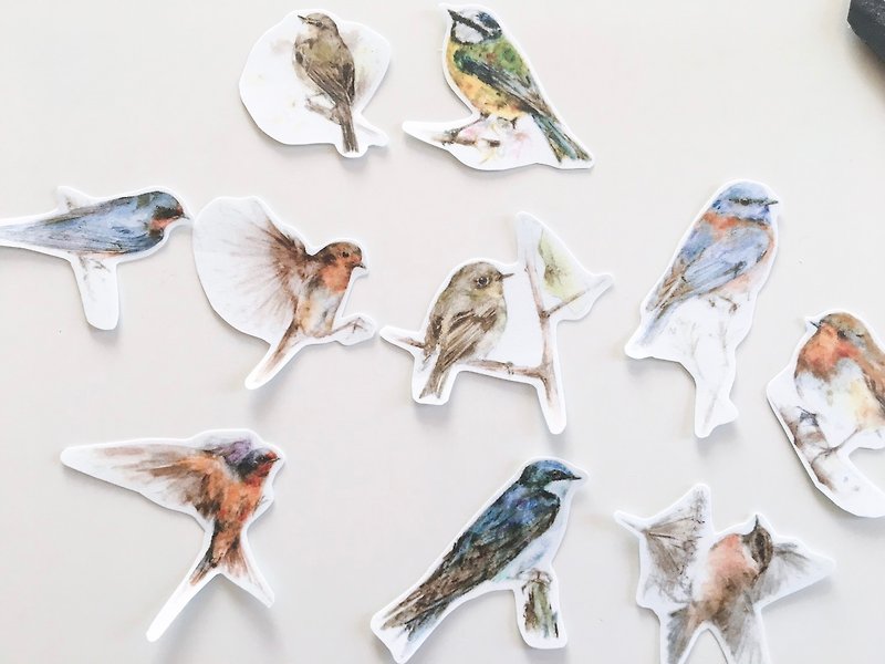 Bird sticker group A - สติกเกอร์ - กระดาษ 