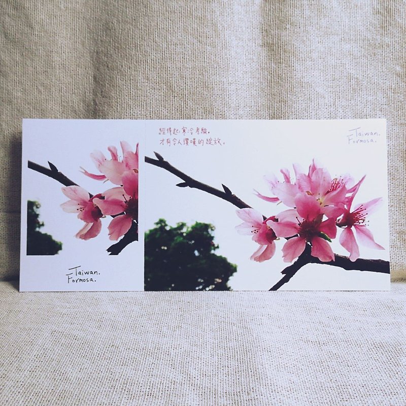 [Stub postcard] - praise - cherry control recommended - Cards & Postcards - Paper Pink