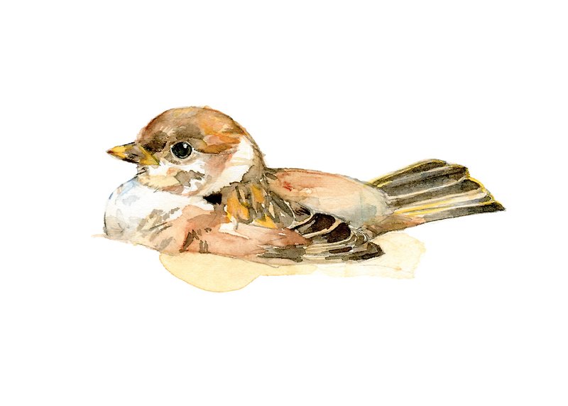 Watercolor decorative painting sparrow - 0007 - Posters - Paper Khaki