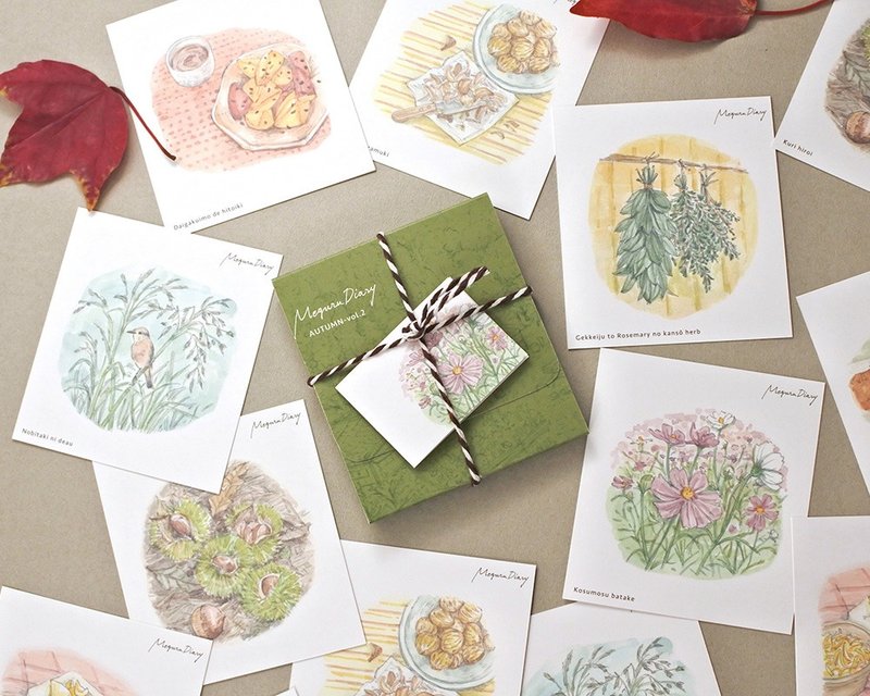 Seasonal Cards (with case) (Autumn Collection 2) - Cards & Postcards - Paper Green