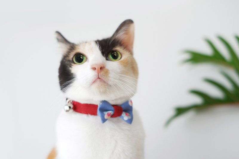 Tropicana - Two-tone, Red & Blue : Adult Personalized Breakaway Cat Collar - 項圈/牽繩 - 其他材質 紅色