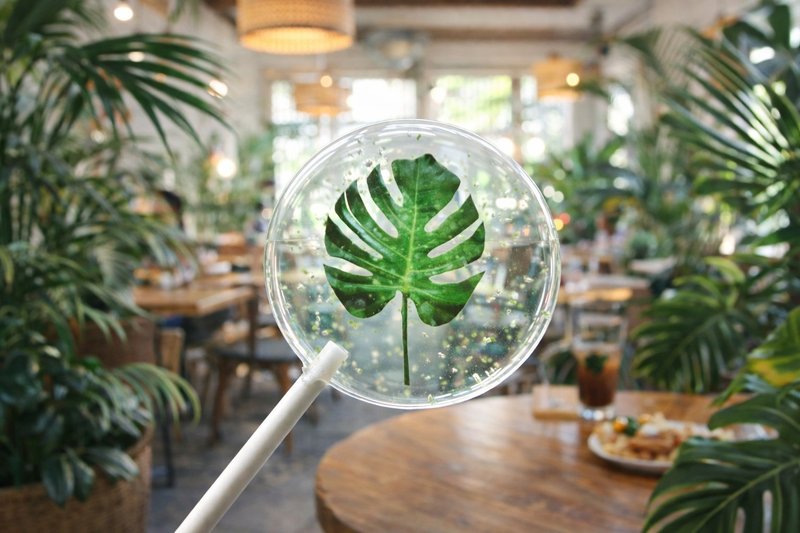 創意棒棒糖－森葉午後 - 零食/點心 - 新鮮食材 多色