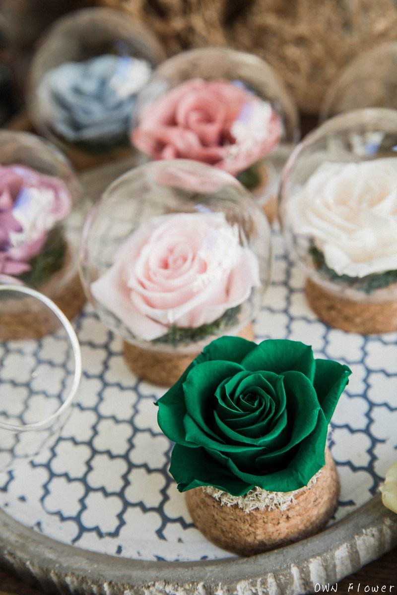 Preserved flower glass ball/glass flower ball/preserved flower cup/everlasting flower cup/preserved flower gift/graduation gift/flower - Dried Flowers & Bouquets - Plants & Flowers Green