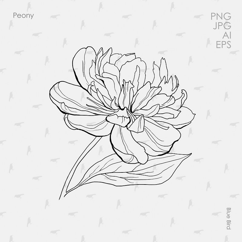 Peony flower. Digital file - 其他數位設計 - 其他材質 