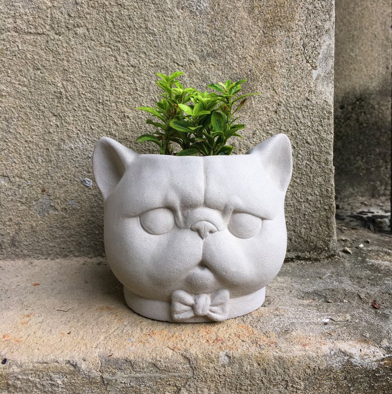 Squashed face Cat / Cement Pot - Plants - Cement Gray